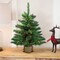 Northlight 3' Pre-Lit Potted New Carolina Spruce Medium Artificial Christmas Tree - Clear Lights